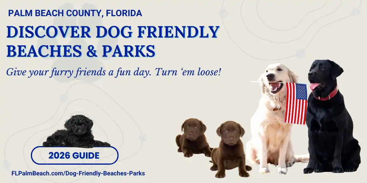 Discover Dog Friendly Beaches & Parks 2026 Guide Palm Beach County image with dogs